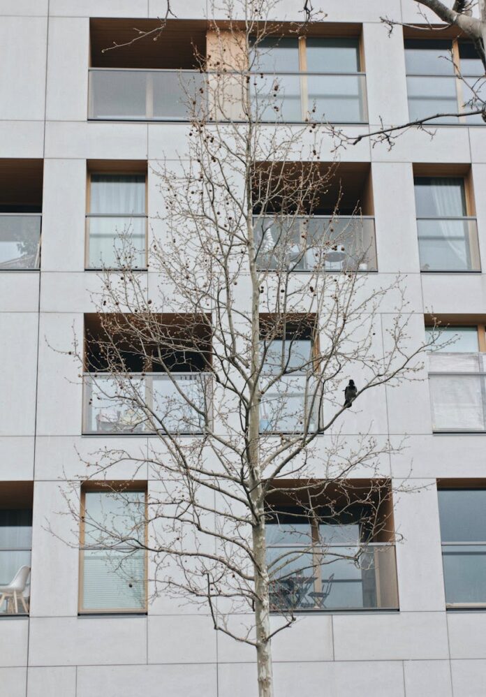 Low angle view of a modern apartment building facade with a bare tree in Warsaw, Poland.